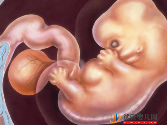 選擇臺灣試管嬰兒的5個理由(圖2)