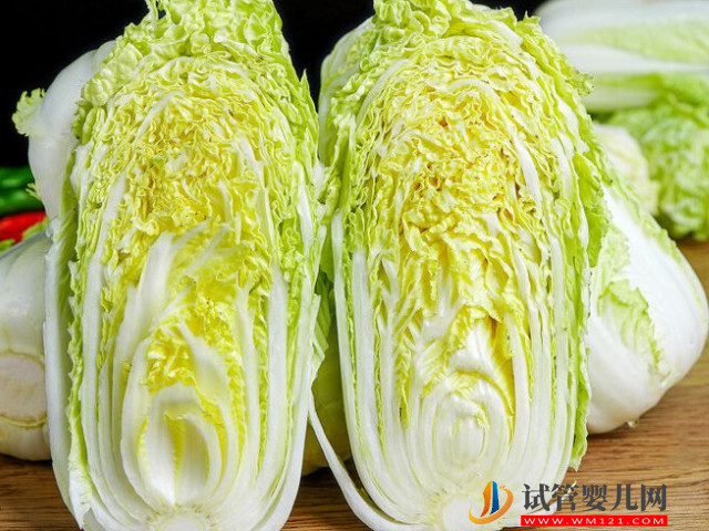 十大最強堿性食物排名一覽表參考 大白菜排名第一(圖2)