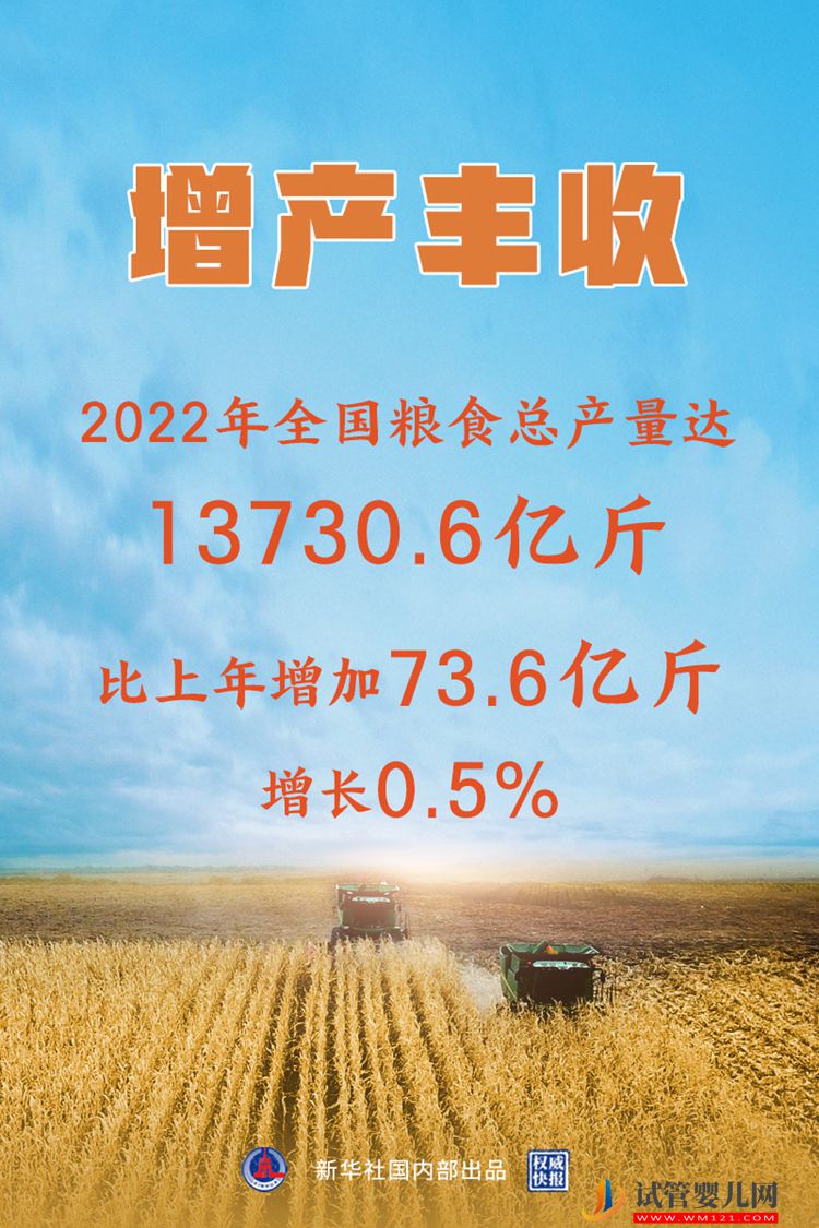全國糧食總產量達13731億斤 實現增產豐收(圖7)