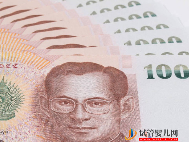 2023年泰國試管助孕費用預估明細表(圖1)