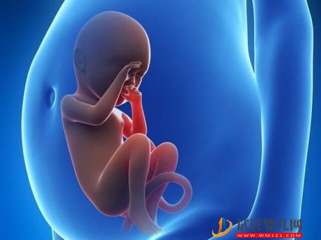 南通試管嬰兒移植的成功率由哪些因素決定？(圖1)