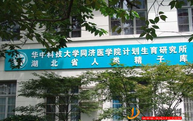 2023湖北精子庫大全，醫院買精子供精人工受孕費用參考(圖2)