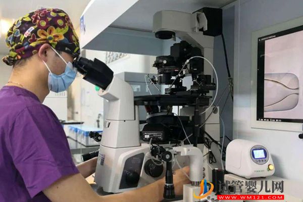 女方有蠶豆病可做試管選擇性別,但并非只能做三代助孕(圖2) 女方有蠶豆病可做試管選擇性別,但并非只能做三代助孕(圖2)