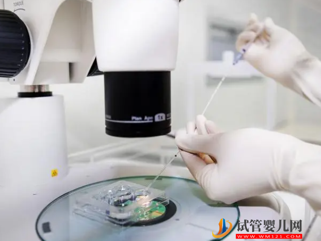 單身女性澳門凍卵全攻略，詳細價格、流程一文講清(圖1)