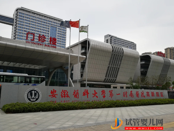 合肥人工授精醫院成功率排名，助孕花費明細表參考(圖2)