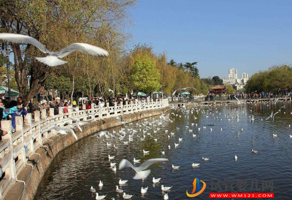 昆明人工授精哪個醫院好，真實助孕成功率排名參考(圖1)