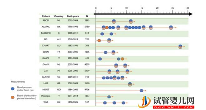 研究揭示：“試管嬰兒”心臟代謝健康結果與自然受孕兒童無異！(圖2)