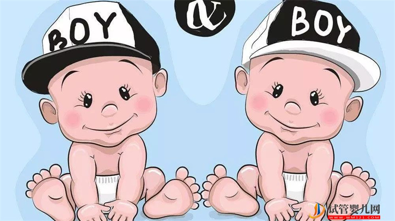 龍鳳胎真有那么美好嗎(圖1) 龍鳳胎真有那么美好嗎(圖1)