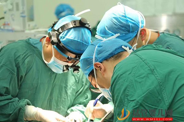 2023赴泰國(guó)供卵生子費(fèi)用明細(xì)表,預(yù)算10萬是最低線(圖3) 2023赴泰國(guó)供卵生子費(fèi)用明細(xì)表,預(yù)算10萬是最低線(圖3)