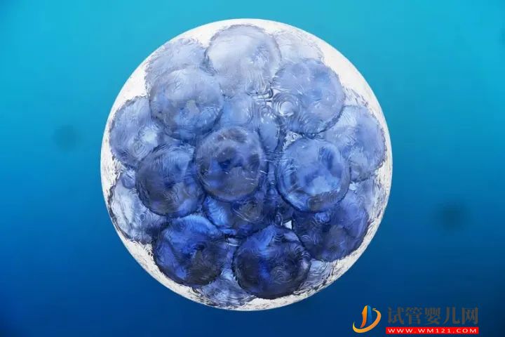 干細胞最全的科普，拿走不謝！(圖1)