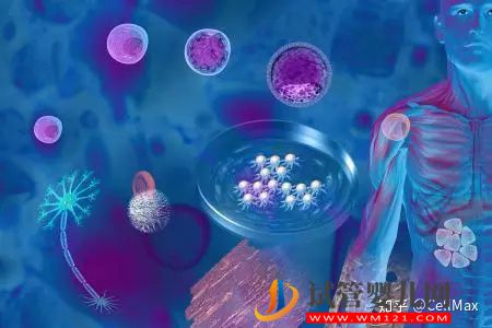 近期干細胞研究進展匯總！(圖1)