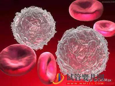 近期干細胞研究進展匯總！(圖2)