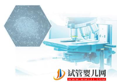 干細胞研究與應用——為人類生命健康提供保障(開卷知新)(圖2) 干細胞研究與應用——為人類生命健康提供保障(開卷知新)(圖2)