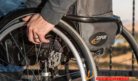 全球第一，日本政府有條件開放以干細胞治療脊髓損傷(圖1)