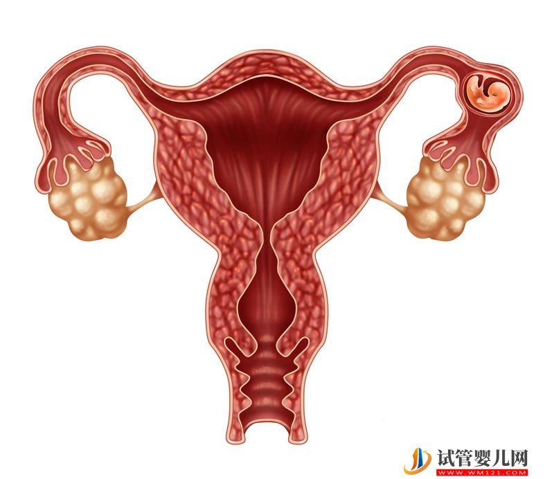成都子宮害怕這些事情 成都子宮害怕這些事情(圖1)