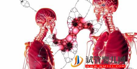 醫學科普醫學界熱議的干細胞到底是什么東西？(圖3)