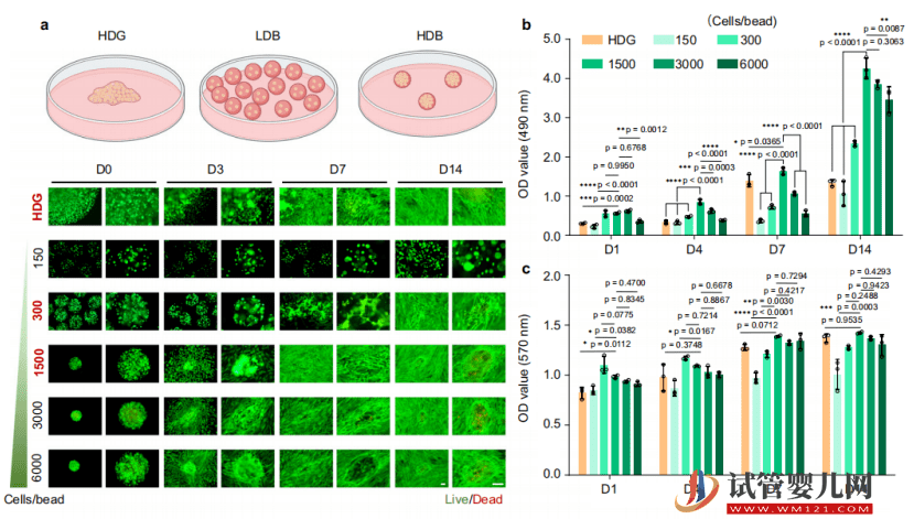 清華開發高通量干細胞微球3D打印機，并揭示干細胞的再生修復機制(圖7)