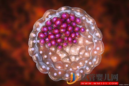 知識科普干細胞原液有什么作用(圖1)