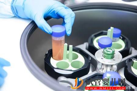 我國干細胞臨床研究和轉化應用加速發展，CDE又有重磅發布(圖3)