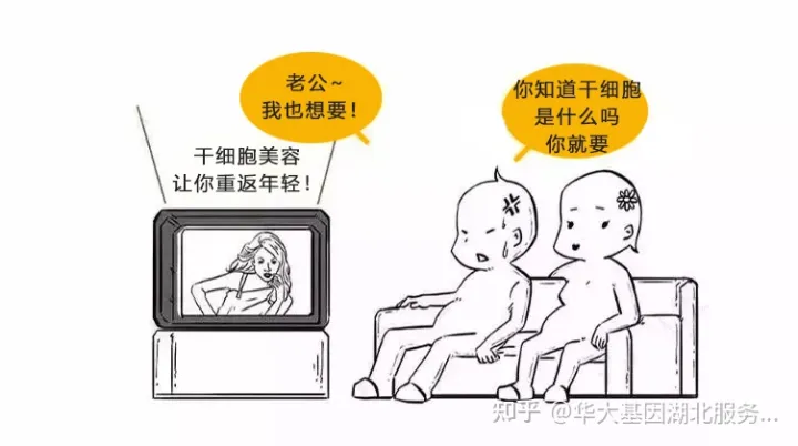 什么是干細(xì)胞？一文讓你讀懂！(圖1)