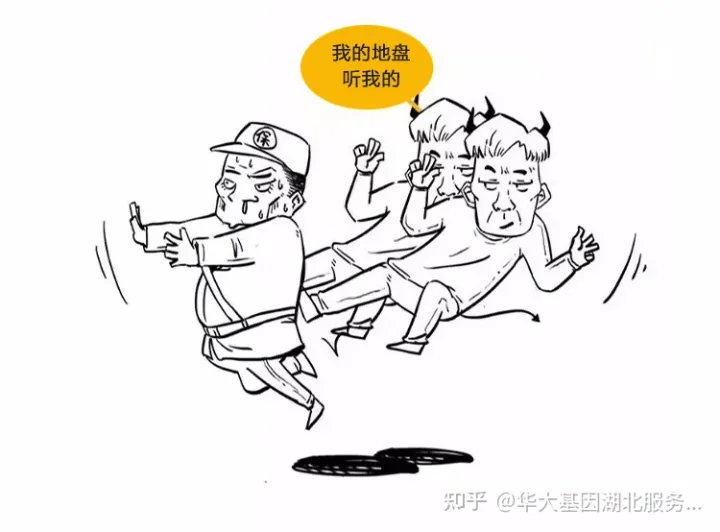 什么是干細(xì)胞？一文讓你讀懂！(圖11)