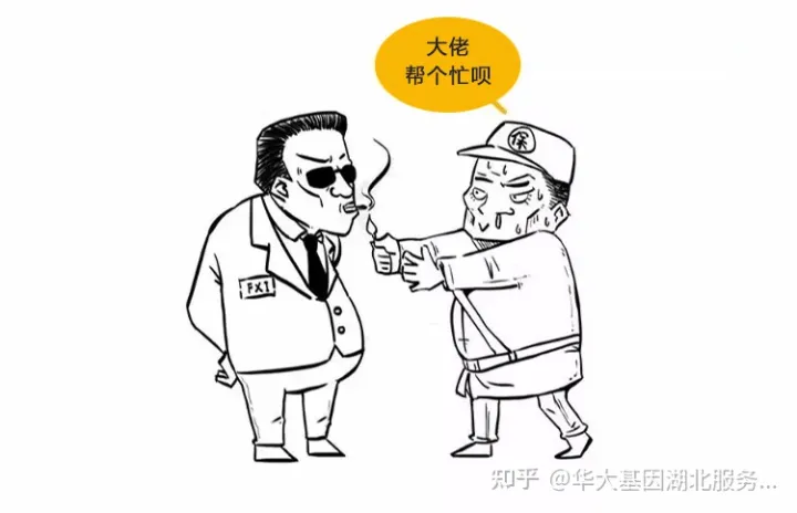 什么是干細(xì)胞？一文讓你讀懂！(圖12)