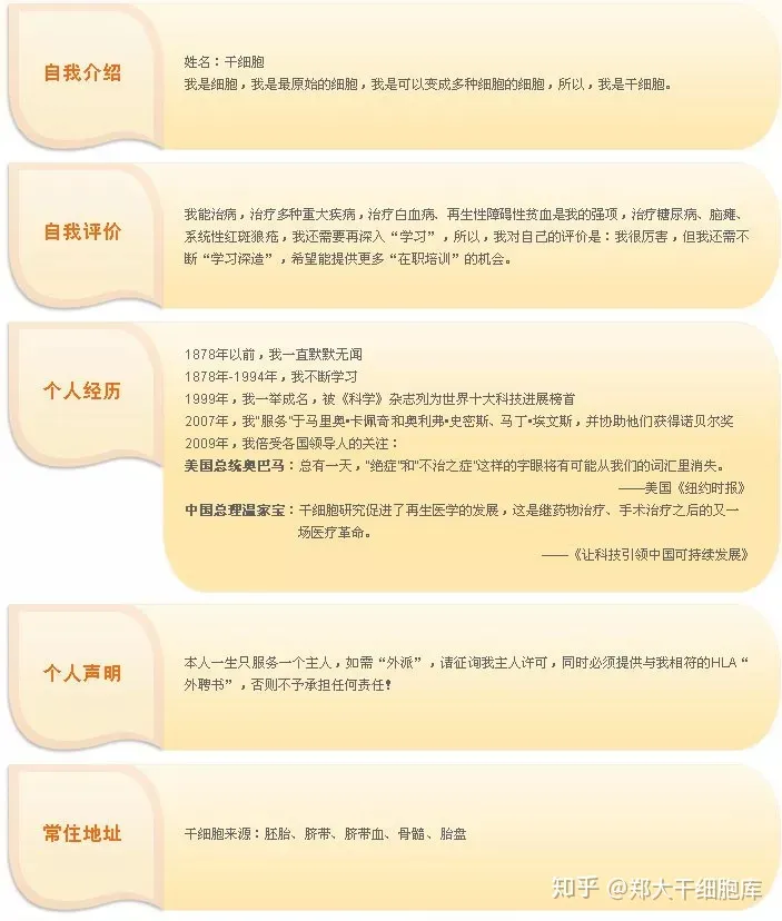 干細胞簡介——什么是干細胞？(圖2)