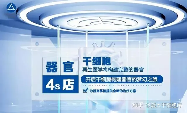 干細胞簡介——什么是干細胞？(圖3)