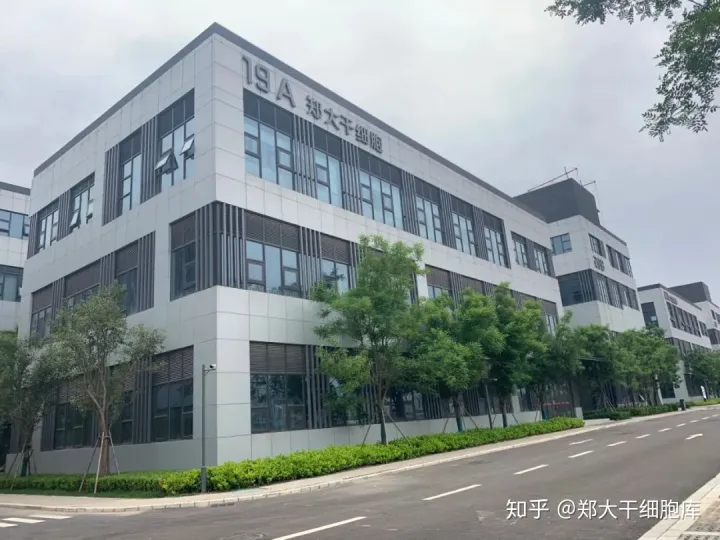 干細胞簡介——什么是干細胞？(圖6)