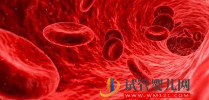 什么是干細胞(圖1)