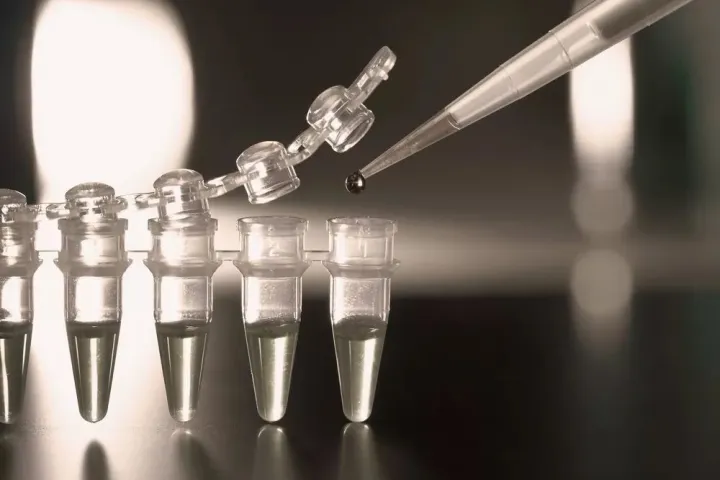 科普了解什么是干細胞？干細胞知識匯總來了(圖2)