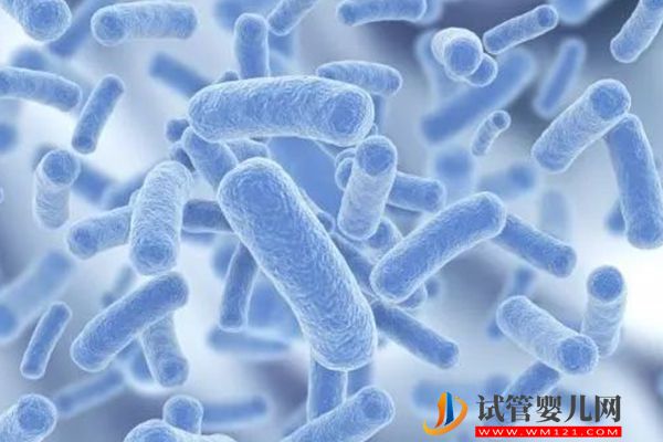 盤點國家規定的嬰幼兒7種益生，哪個牌子最好快來瞧！(圖2)