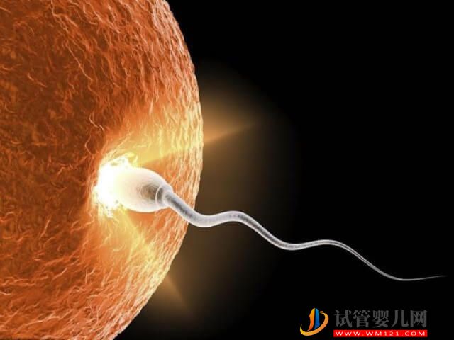 和田做試管嬰兒胚胎移植的成功率怎么樣？(圖1)