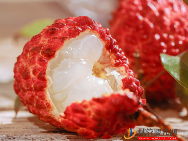 試管移植后荔枝要慎吃，這幾大食用后的影響必須知曉(圖2)