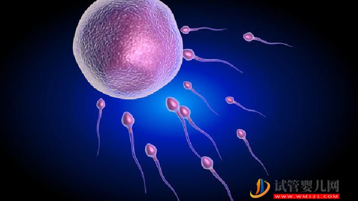 男性不育需要做什么檢查項目？男性不育這6個檢查項目不可少(圖2)