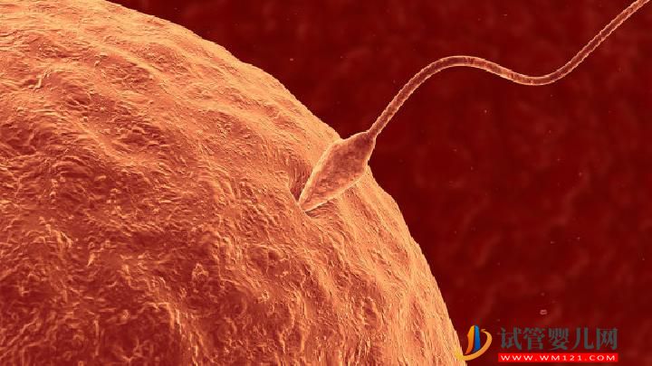 男性不育的治療方法有哪些？男性不育的4大治療誤區(圖3)