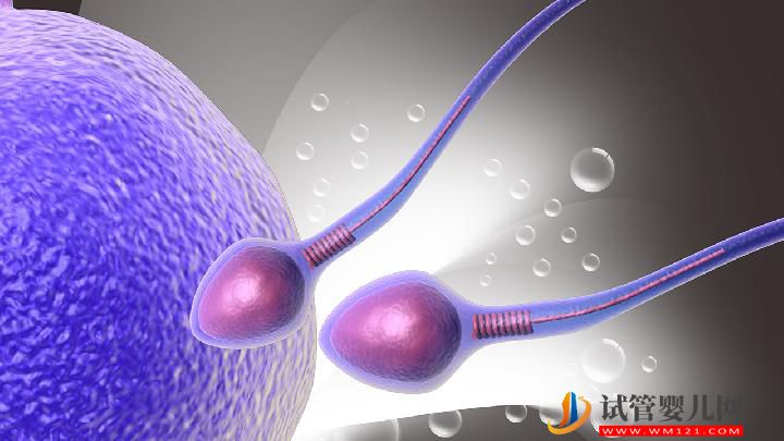 男性不育的治療方法有哪些？男性不育的4大治療誤區(圖4)