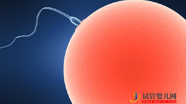 常玩手機(jī)會(huì)導(dǎo)致男性不育嗎？男性不育要做這些檢查(圖3)