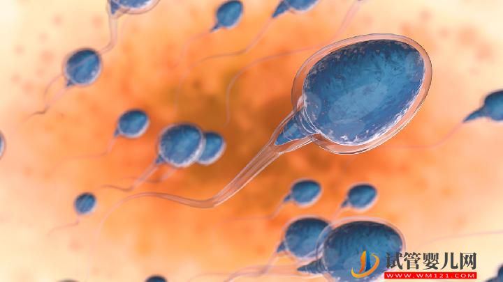 男性不育治療期間要注意什么？男性不育應牢記這7大注意事項(圖1)