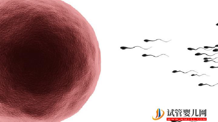 男性不育治療期間要注意什么？男性不育應牢記這7大注意事項(圖3)