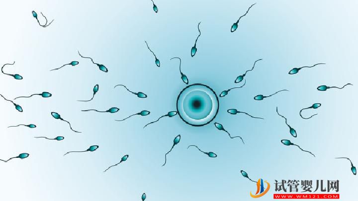男性不育要做哪些檢查確診？常見的男性不育有哪些？(圖5)