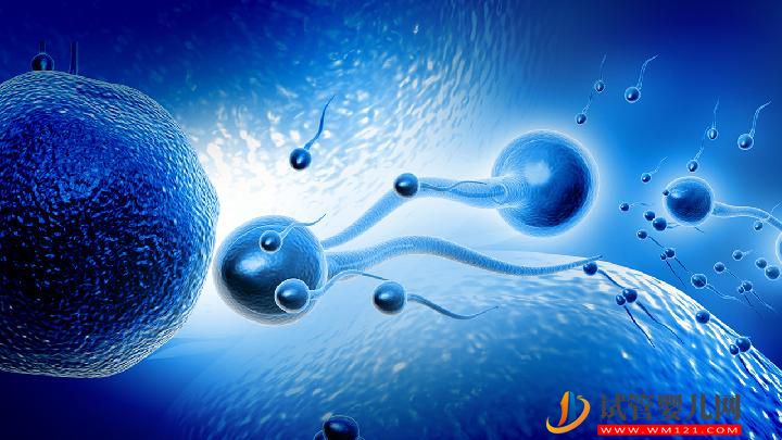 男性不育的原因可總結(jié) 警惕生活中有這6大精子殺手(圖3)