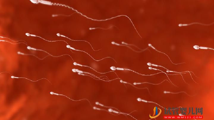 男性不育的原因可總結(jié) 警惕生活中有這6大精子殺手(圖7) 男性不育的原因可總結(jié) 警惕生活中有這6大精子殺手(圖7)