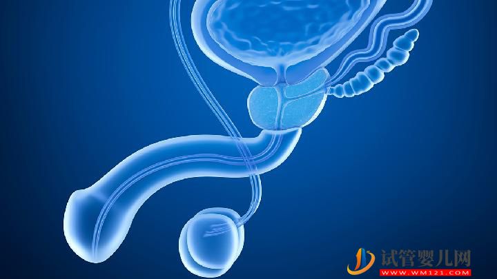 少精癥和無精癥是怎么回事？男性不育癥有什么表現？(圖1)