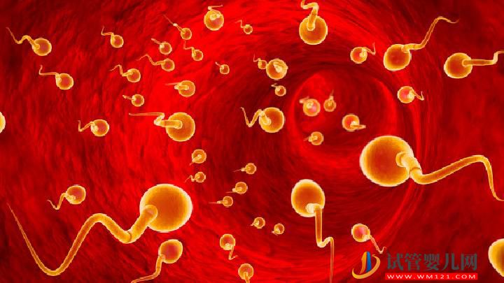 預(yù)防男人不育有哪幾個(gè)禁忌 預(yù)防男性不育應(yīng)牢記5個(gè)禁忌(圖2) 預(yù)防男人不育有哪幾個(gè)禁忌 預(yù)防男性不育應(yīng)牢記5個(gè)禁忌(圖2)