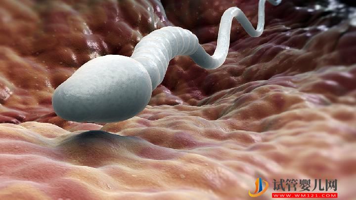 工作壓力也會導(dǎo)致不育嗎 3類藥物會引起男性不育(圖2)