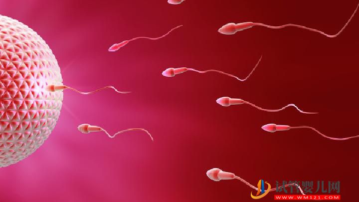 工作壓力也會導(dǎo)致不育嗎 3類藥物會引起男性不育(圖4) 工作壓力也會導(dǎo)致不育嗎 3類藥物會引起男性不育(圖4)