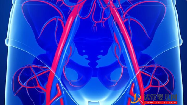 女性處女膜閉鎖的特征都有哪些 女性處女膜閉鎖的三大特征-試管嬰兒網(wǎng) 女性處女膜閉鎖的特征都有哪些 女性處女膜閉鎖的三大特征(圖1)