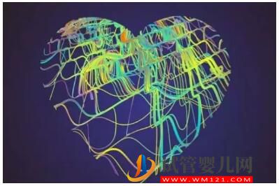 澳大利亞試管嬰兒備孕指南！(圖1)