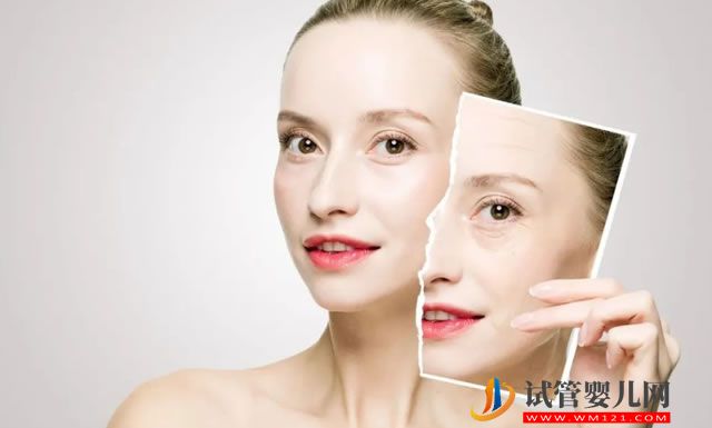 在兩種“老化”狀態(tài)間循環(huán)切換 科學(xué)家設(shè)計(jì)基因調(diào)控回路延緩衰老 在兩種“老化”狀態(tài)間循環(huán)切換 科學(xué)家設(shè)計(jì)基因調(diào)控回路延緩衰老(圖1)